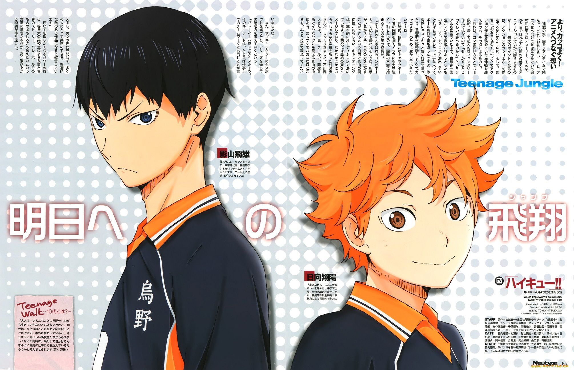 , haikyuu, 